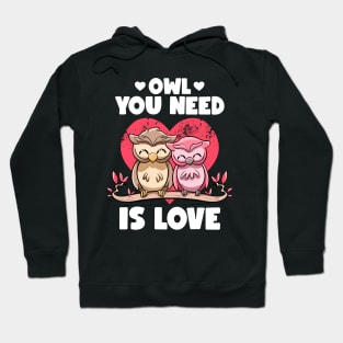 Owl You Need Is Love Adorable Owl Puns Couple Valentines Day Hoodie